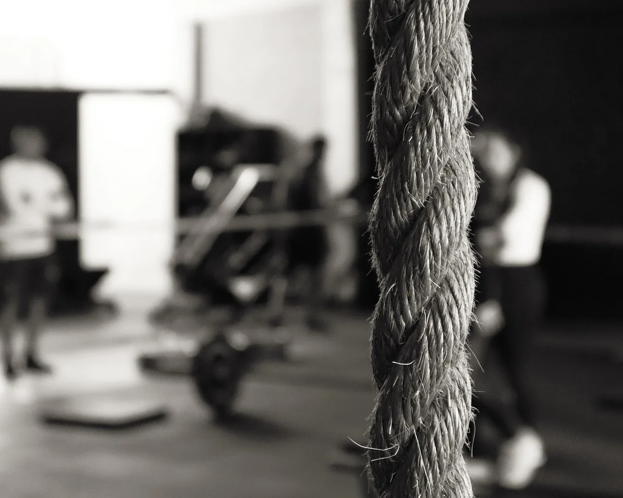 Crossfit Box diensten