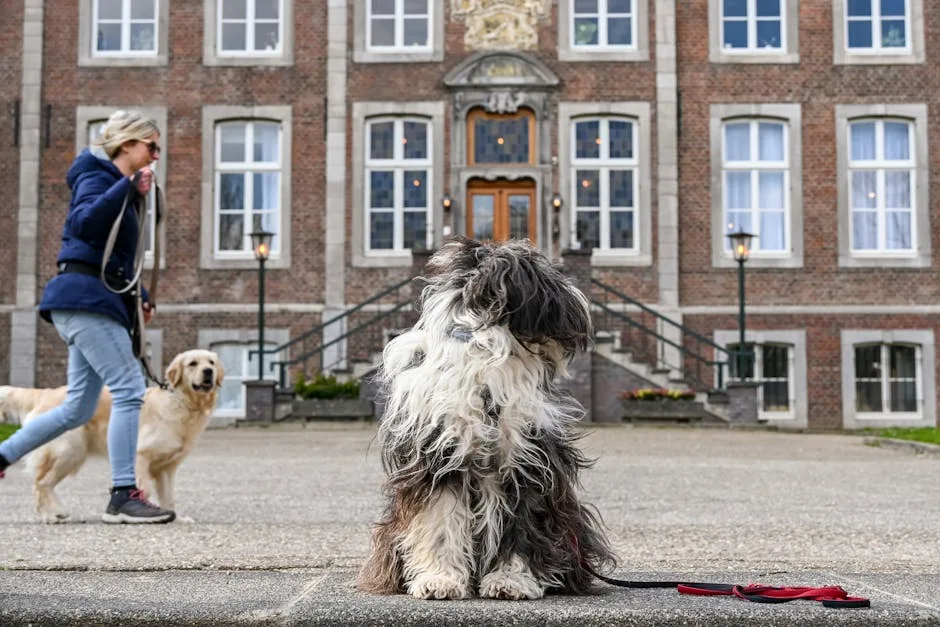 Pensionverblijf