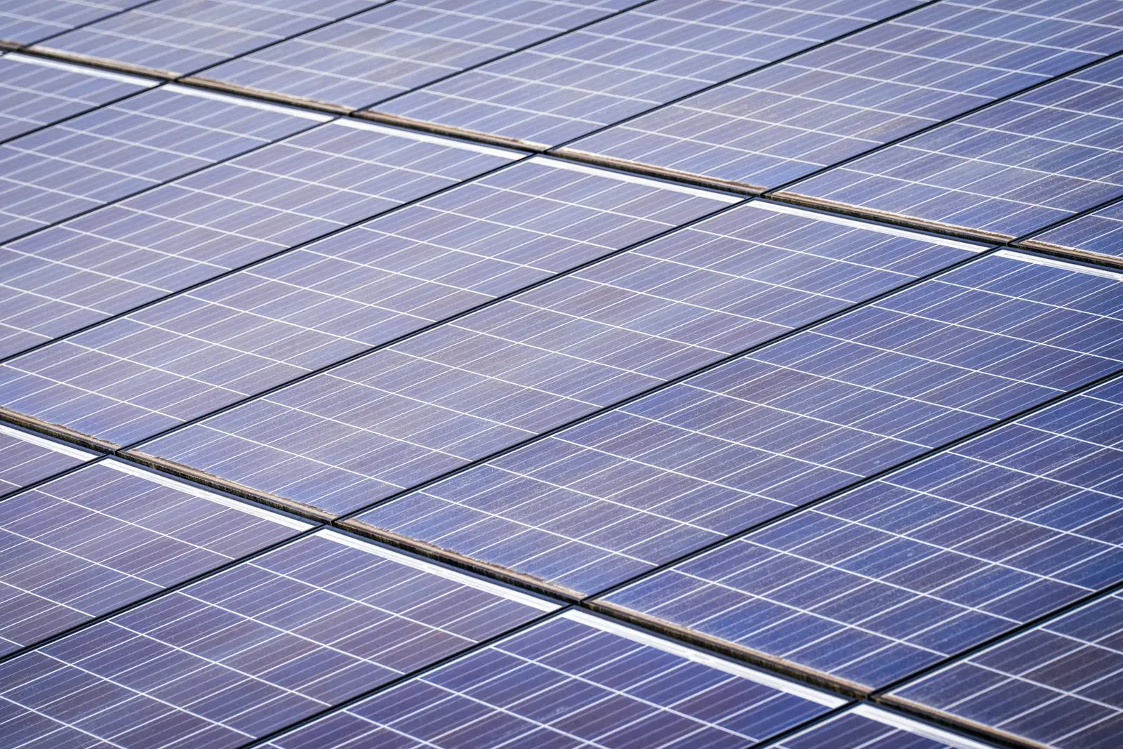 Energieadviseur