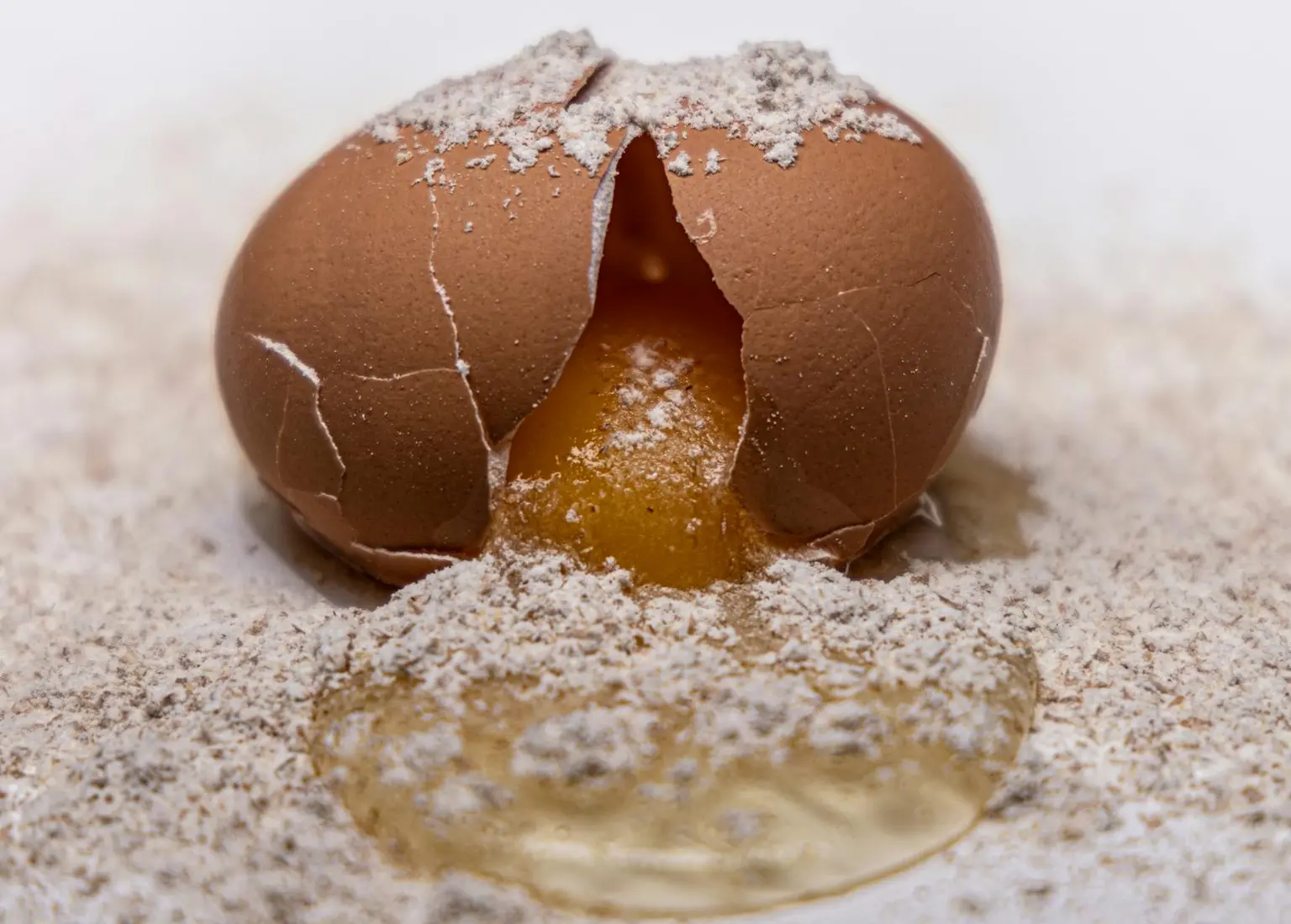 Bakker