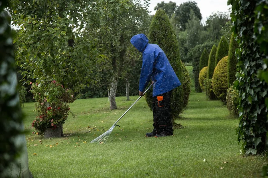 Tuinonderhoud