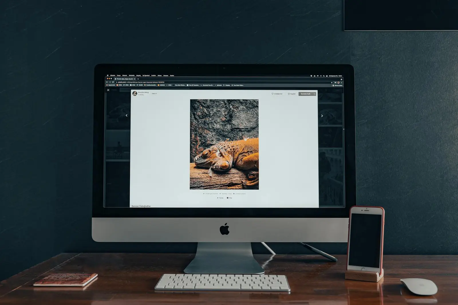 Webdesigner