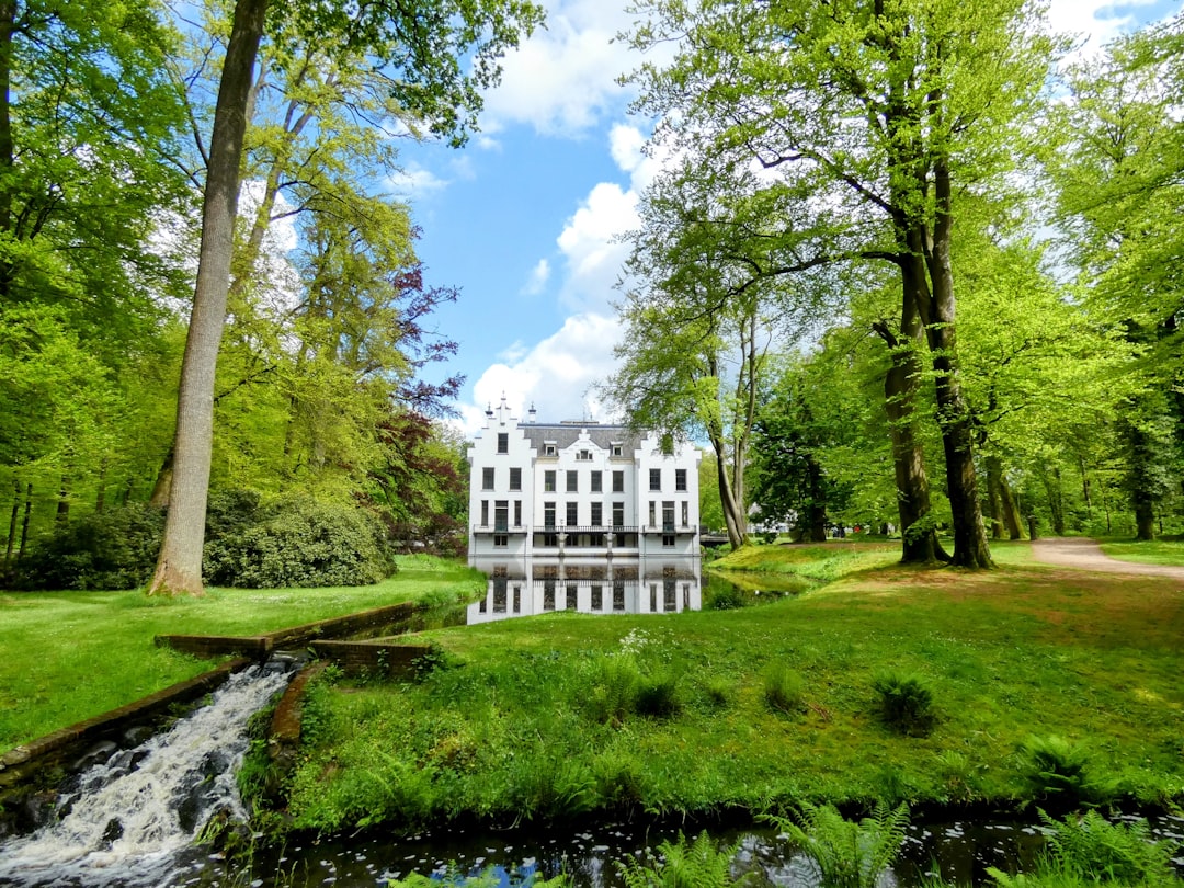 a large white house surrounded by trees and water