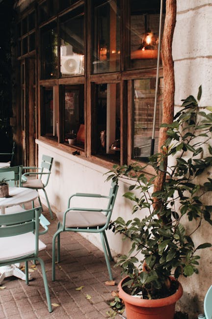 Charming outdoor café in Istanbul with potted plants, chairs, and windows reflecting warm light.