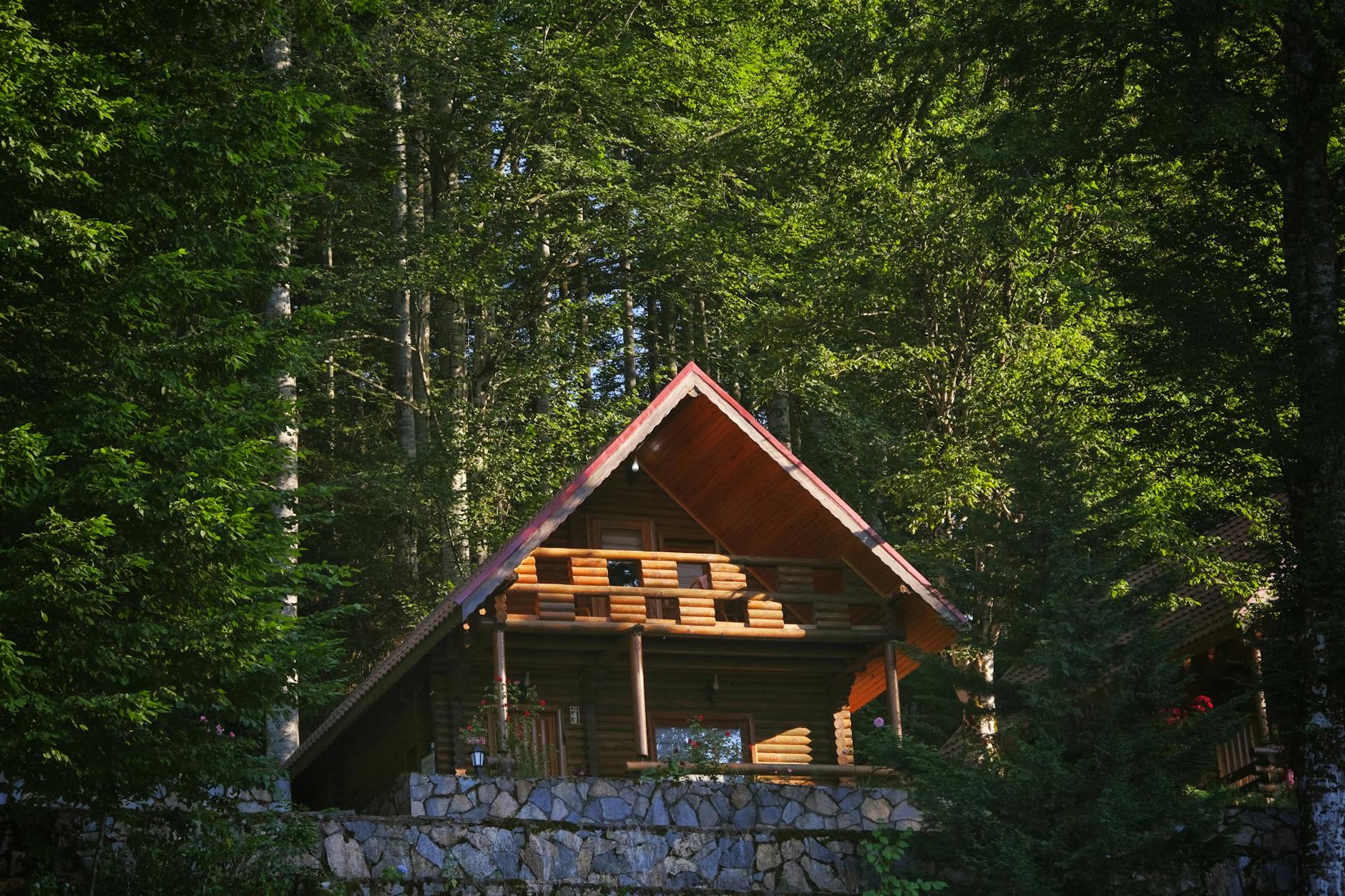 Een houten chalet met rood dak ligt verscholen in een groen bos.