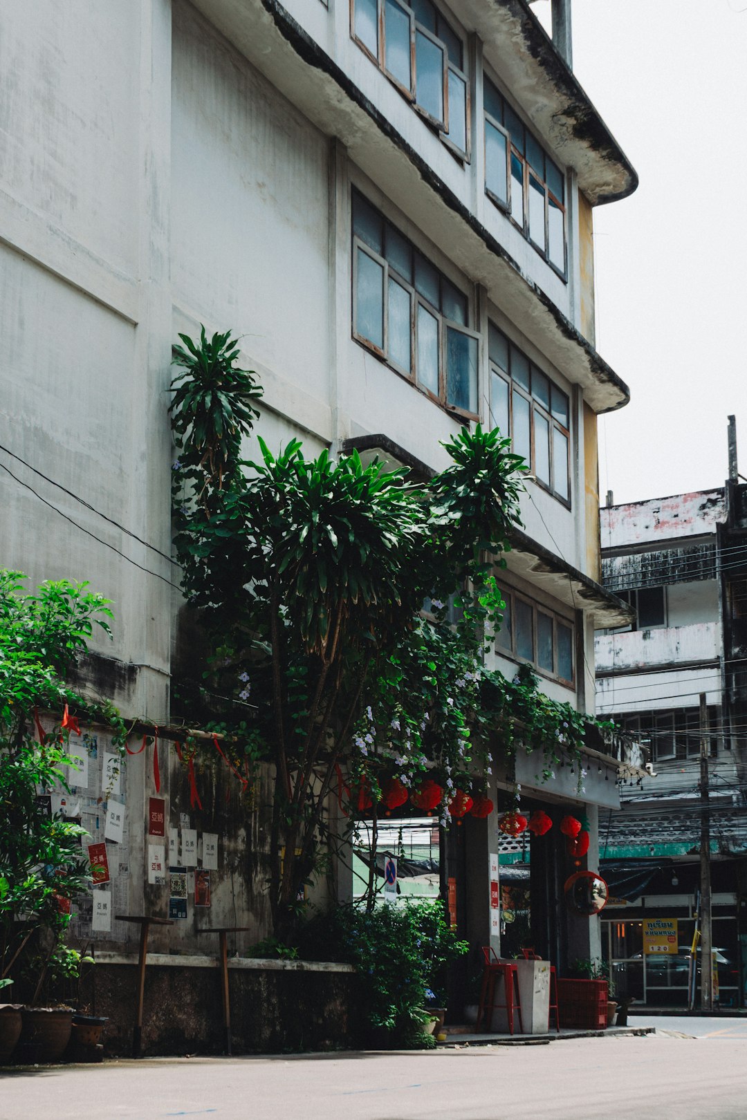 White building with lush green plants and red lanterns.