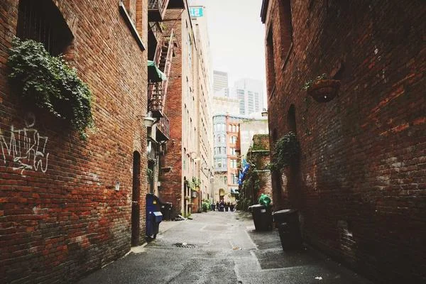 Een smalle steeg met bakstenen gebouwen in een stedelijke omgeving.