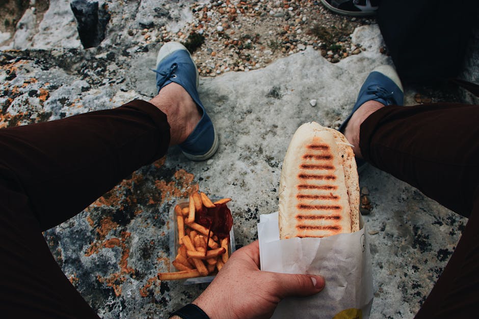 Casual outdoor meal featuring a grilled panini and a side of fries on a rocky surface.